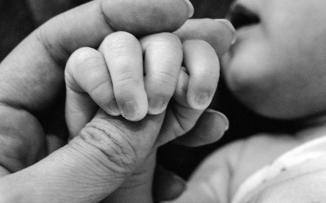 חיים חדשים בזמן מלחמה